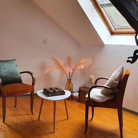 Loft Gaia Apartment Brunstatt-Didenheim ภายนอก รูปภาพ